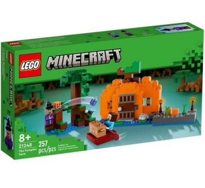  21248 LEGO Minecraft  