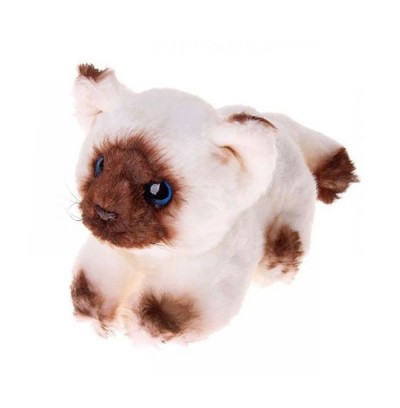 JC-654W FANCY ����� ����, 20 ��