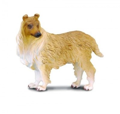 88191 Collecta �����