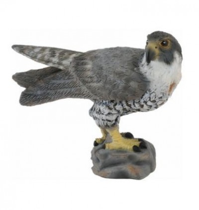 88399 Collecta �����
