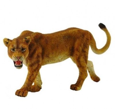 88415 Collecta ������