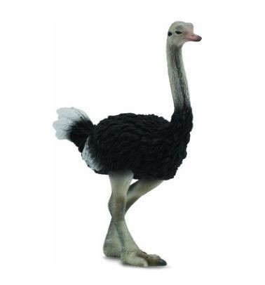 88459 Collecta ������