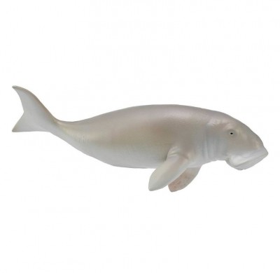 88766 Collecta ������