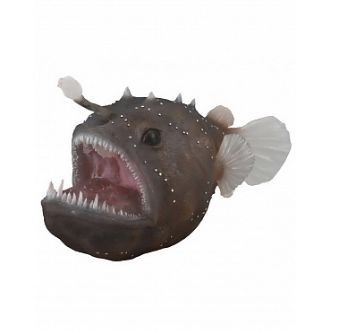 88967 Collecta ����-��������