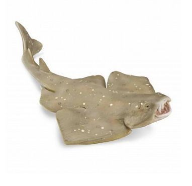 88999 Collecta �����-�����