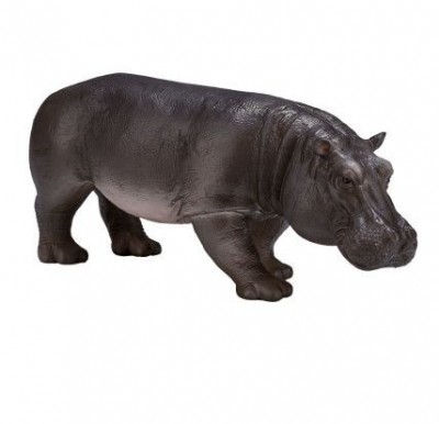 AMW2050 KONIK ������� �����
